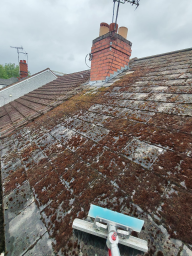 Roof Moss Removal Coventry 01 Medium