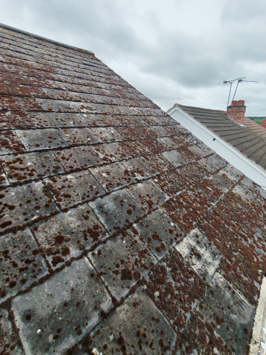 Roof Moss Removal Coventry 02 Medium