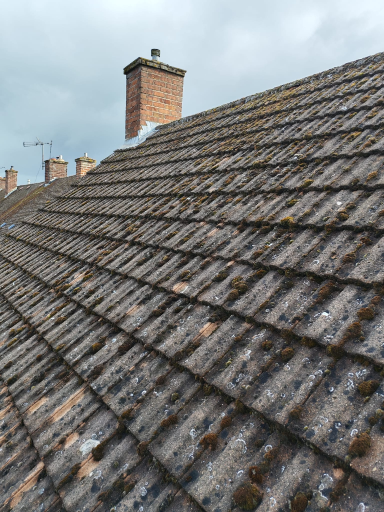 Roof Moss Removal In Croft Leicestershire 01 Medium