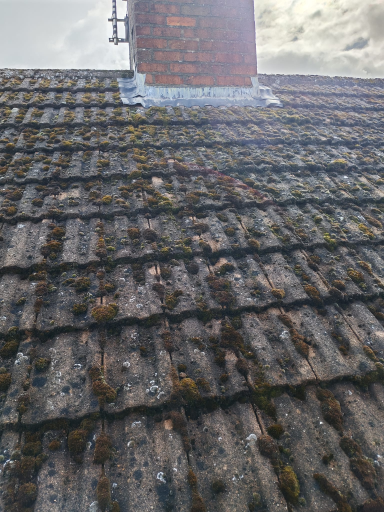 Roof Moss Removal In Croft Leicestershire 02 Medium