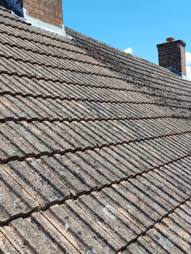 Roof Moss Removal In Croft Leicestershire 04 Medium