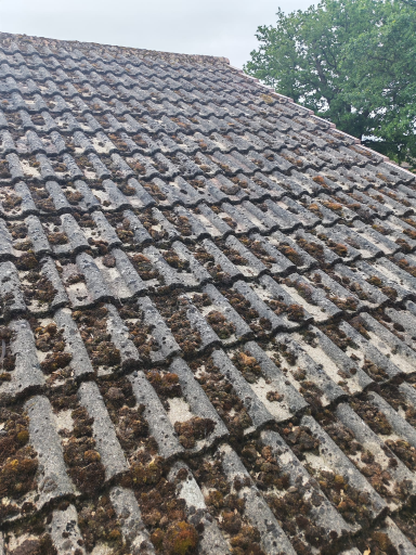 Roof Moss Removal Lutterworth 01 Medium